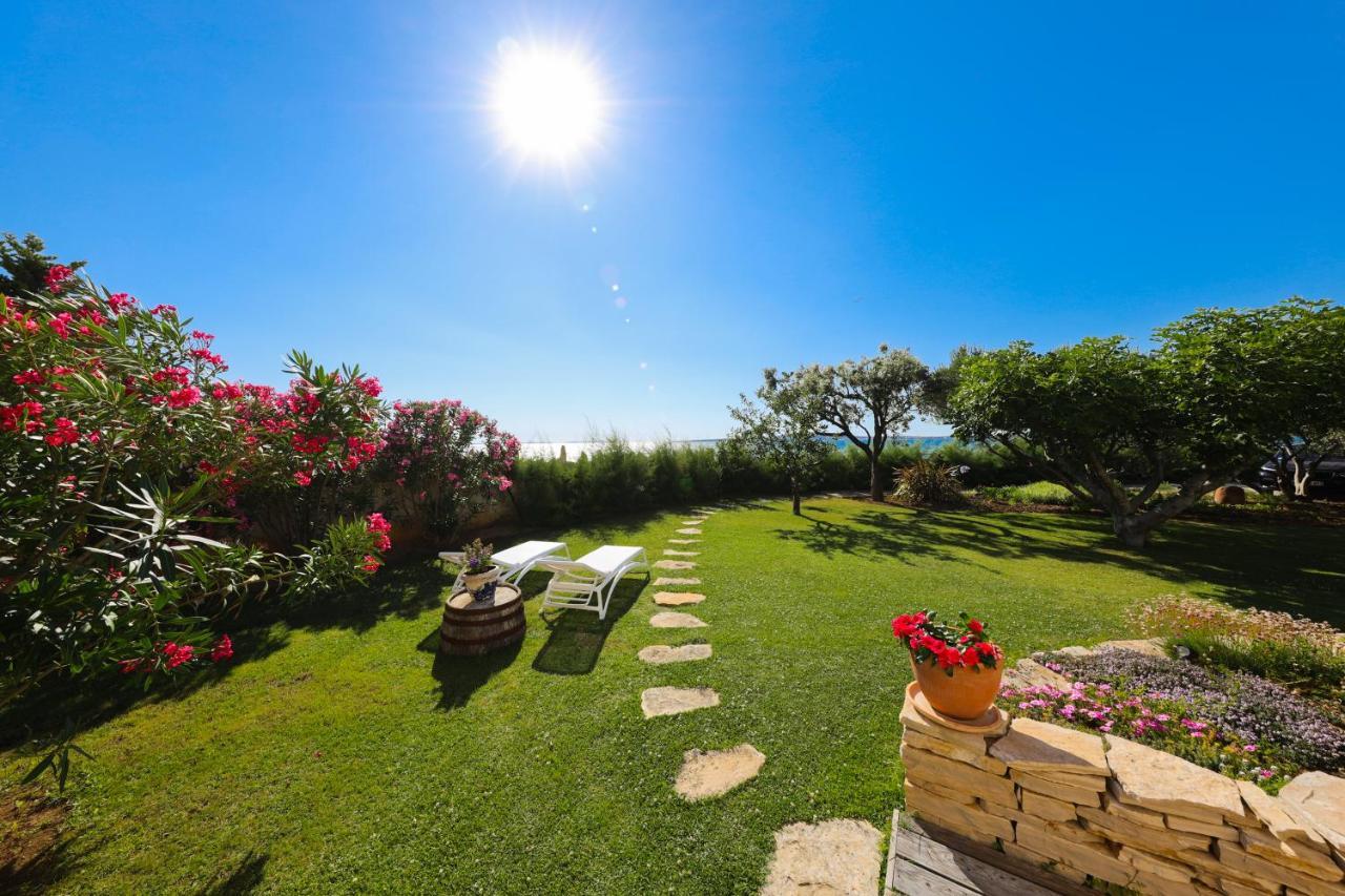 Bed&Breakfast Vanni Privlaka  Exterior foto